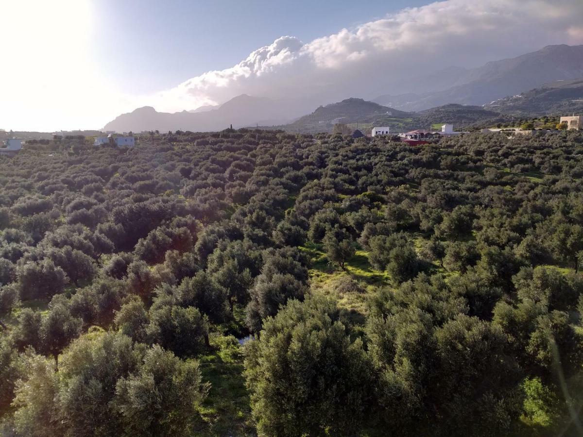 Greek Blue Plakias