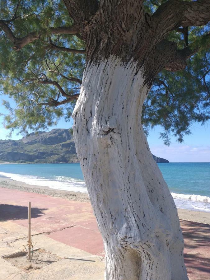 Apartment Greek Blue *